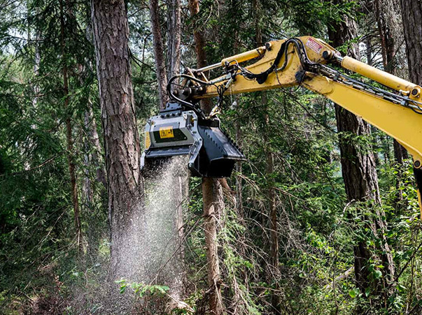 Forestry Mulcher hire Gold Coast